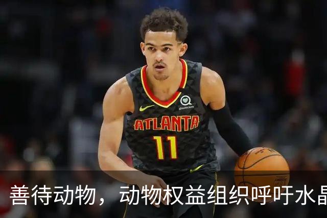 善待动物，动物权益组织呼吁水晶宫弃用活体吉祥物白头海雕凤凰
