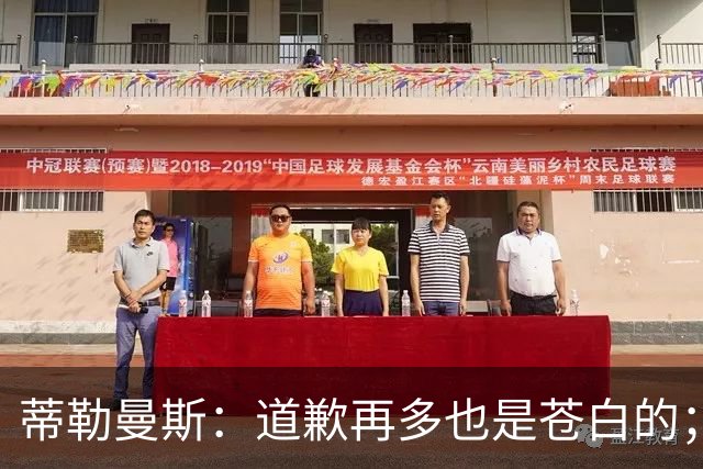 蒂勒曼斯：道歉再多也是苍白的；我们几乎所有环节都脱节了