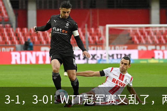3-1，3-0！WTT冠军赛又乱了，两大争冠热门出局，周启豪缔造惊喜
