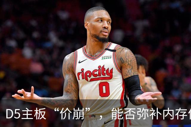 D5主板“价崩”，能否弥补内存价格差？
