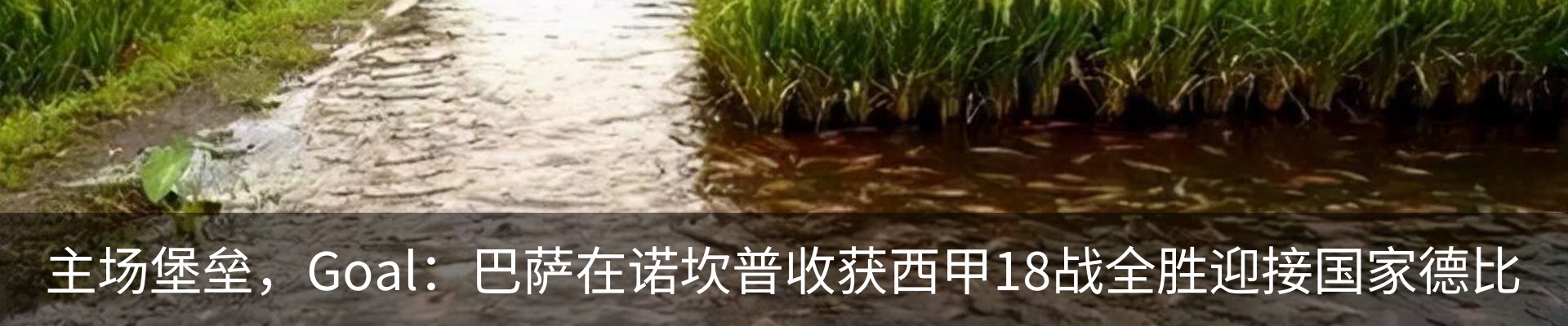 资讯动态