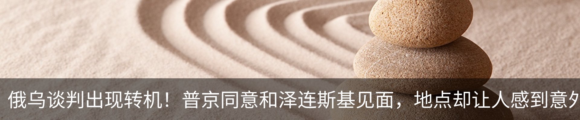 资讯动态