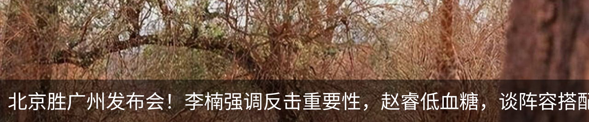 资讯动态