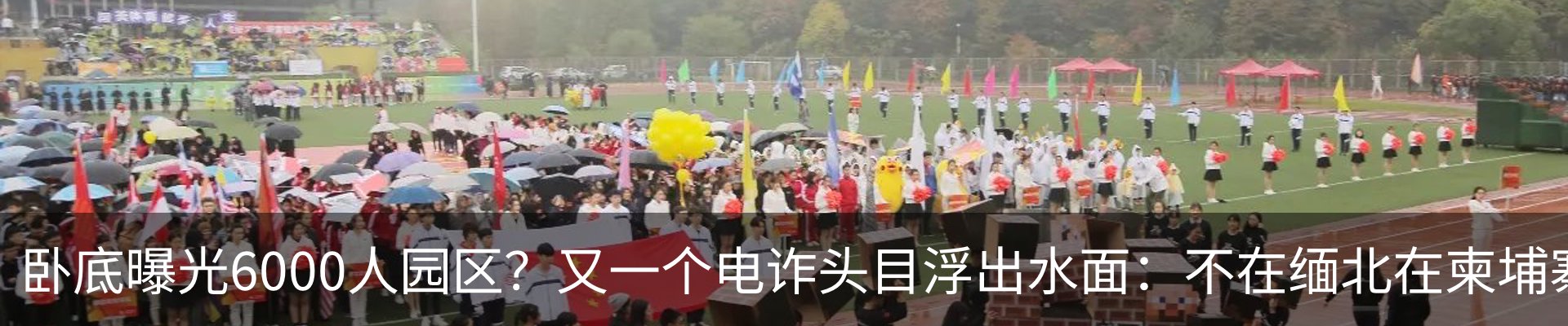 资讯动态