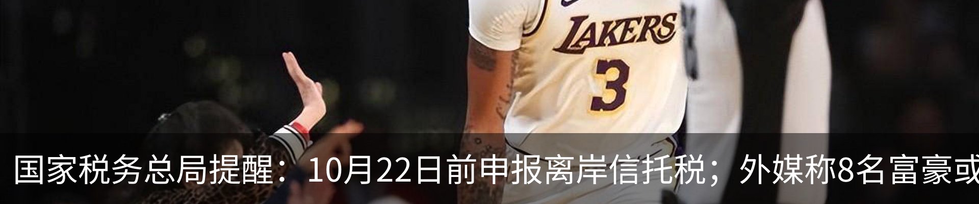 资讯动态