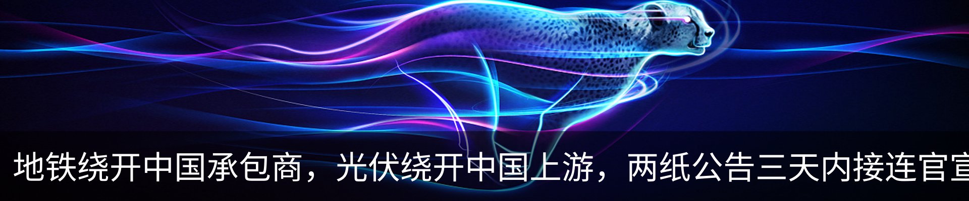 资讯动态