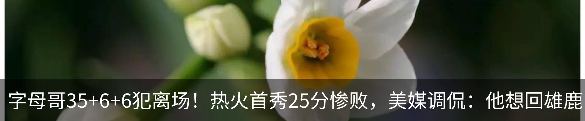资讯动态
