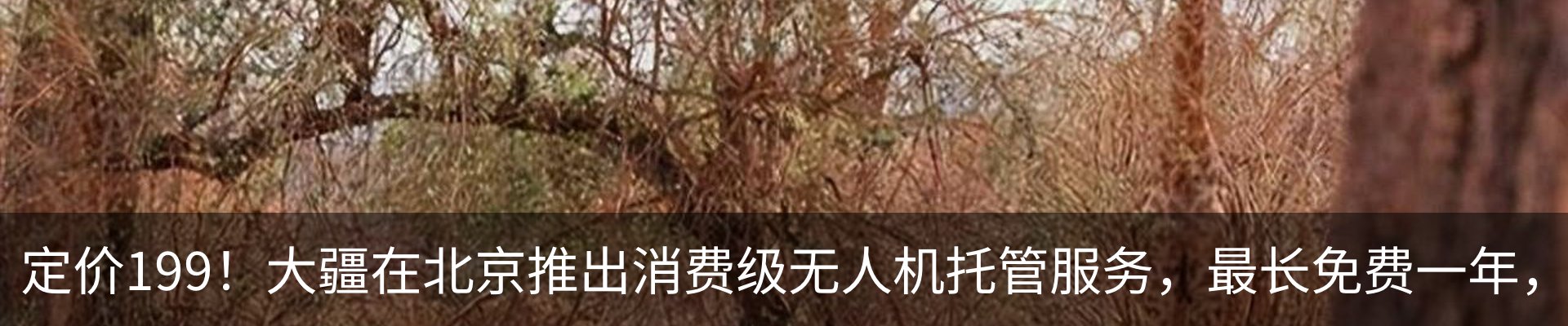 资讯动态