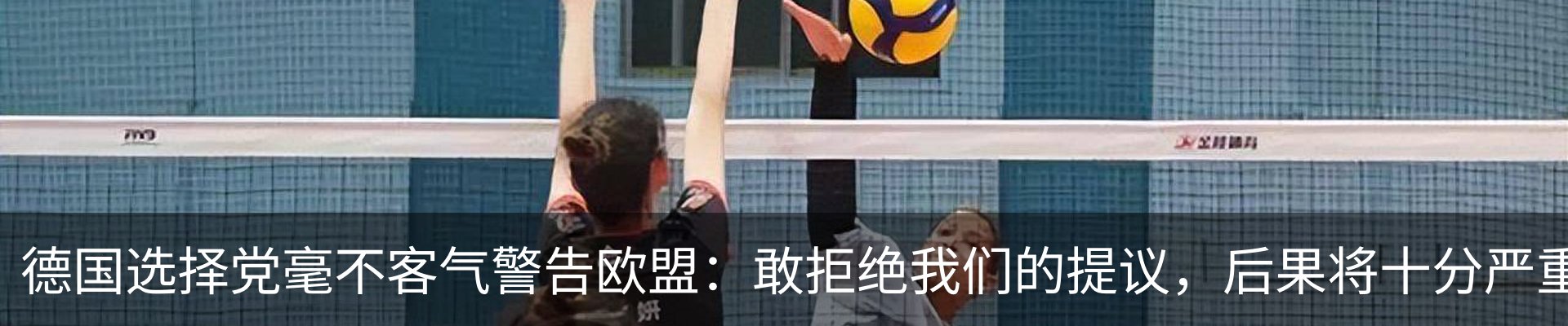 资讯动态