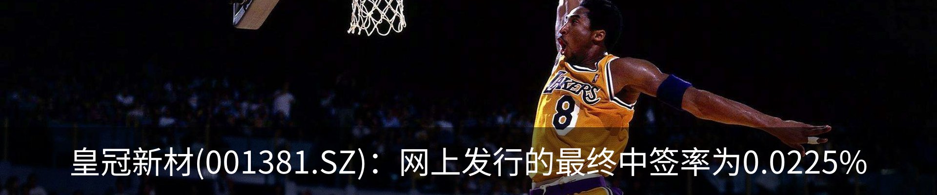 资讯动态