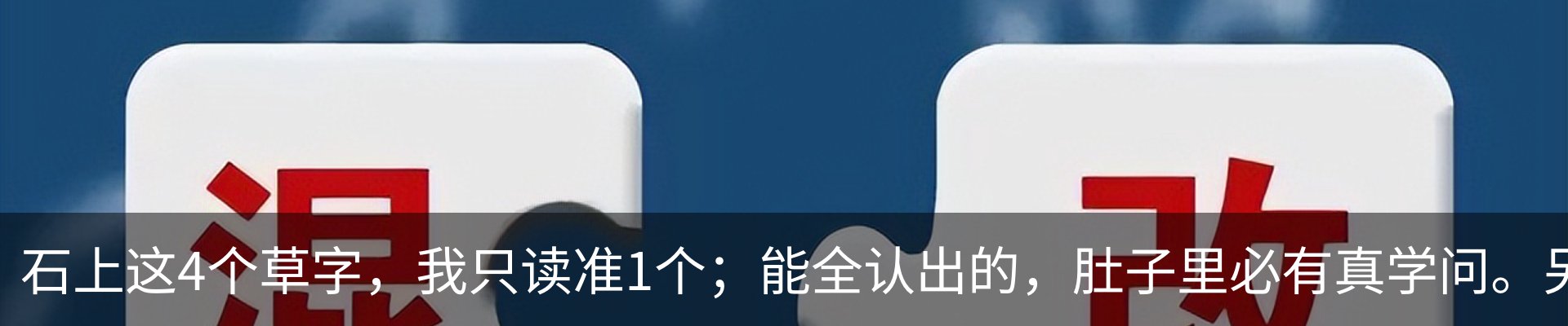 资讯动态