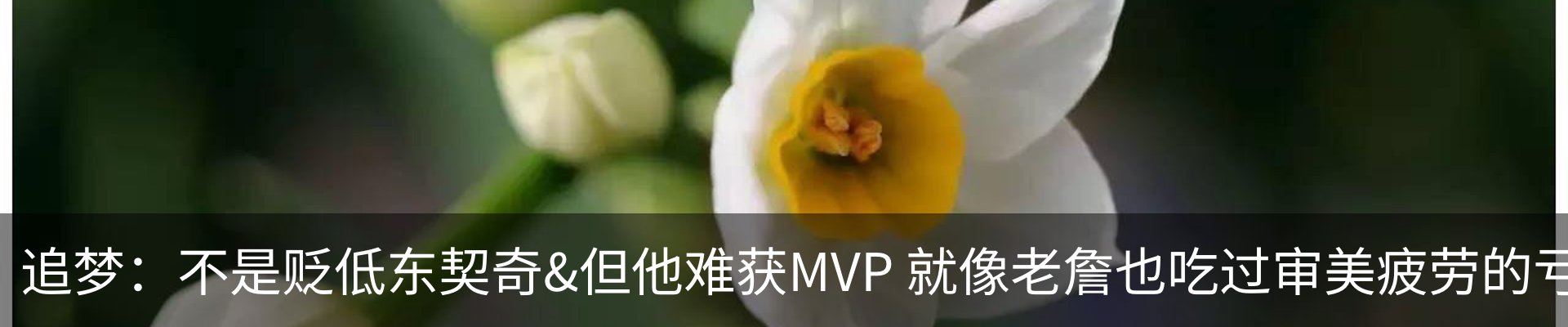 资讯动态