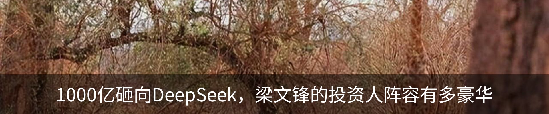 资讯动态